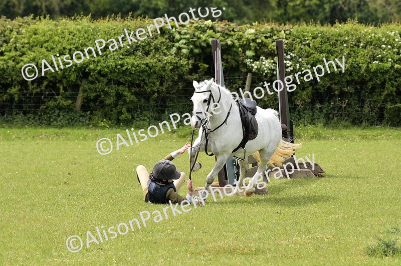 20260426-2418 - Class 21 - Working Hunter Ponies