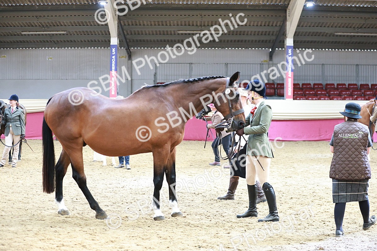 SBM_04821 - Class 7R - Regional IH Diamond