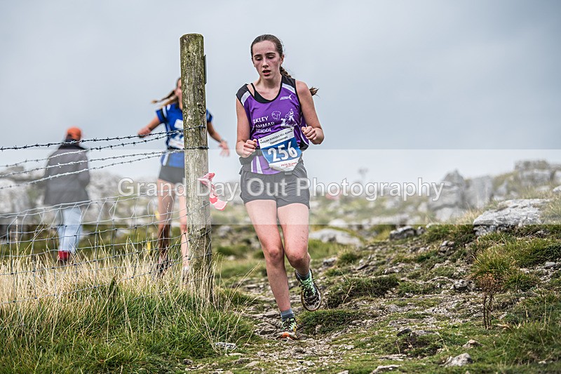 Year 10-11-259 - The English Schools Fell Running Championship Giggleswick Year 10-11 Sunday 6th October 2024