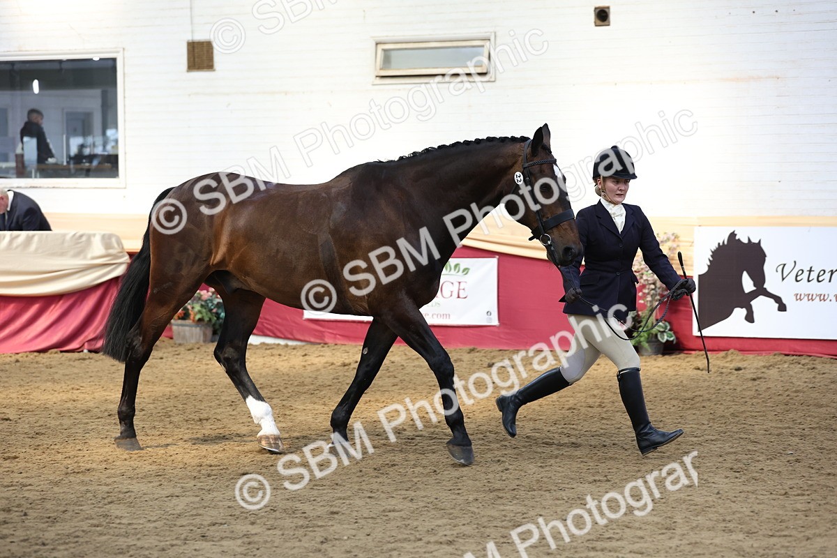 SBM_24161 - Class 905 - Supreme Final - Ridden Veteran