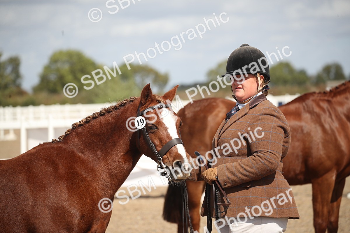 SBM_23122 - Class 606 - 2026 - Area - IH Pre Vet