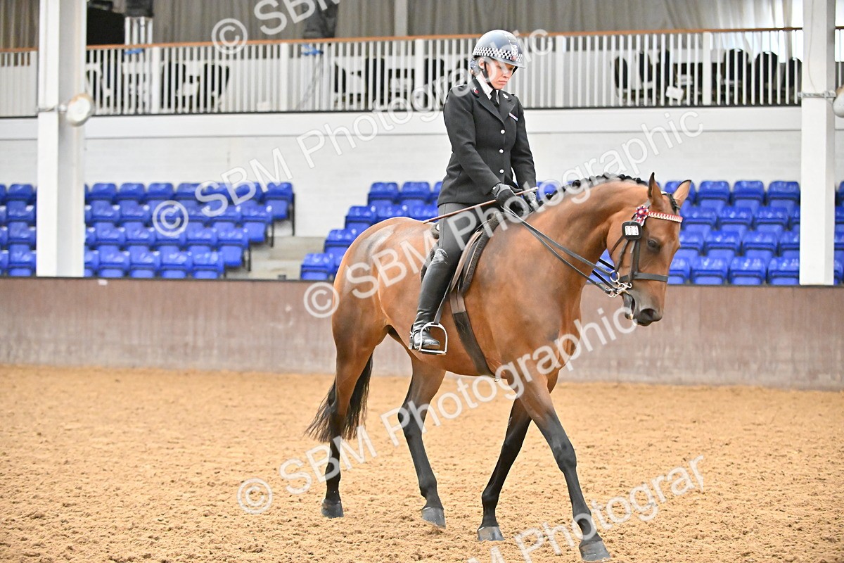 SBM_002372 - Class 22 - BSHA Ridden Hack & Riding Horse