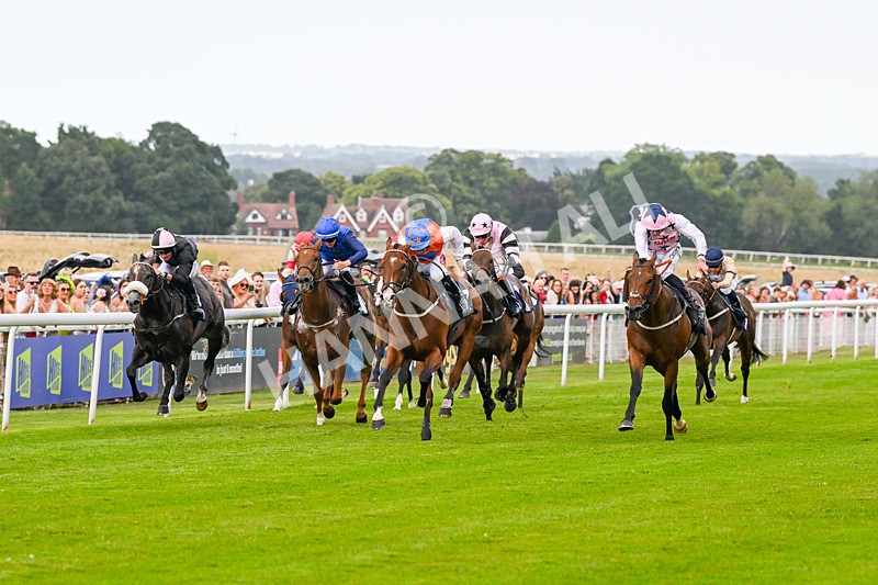 140824-Race 7-Willolarupi-7117 - Race 7