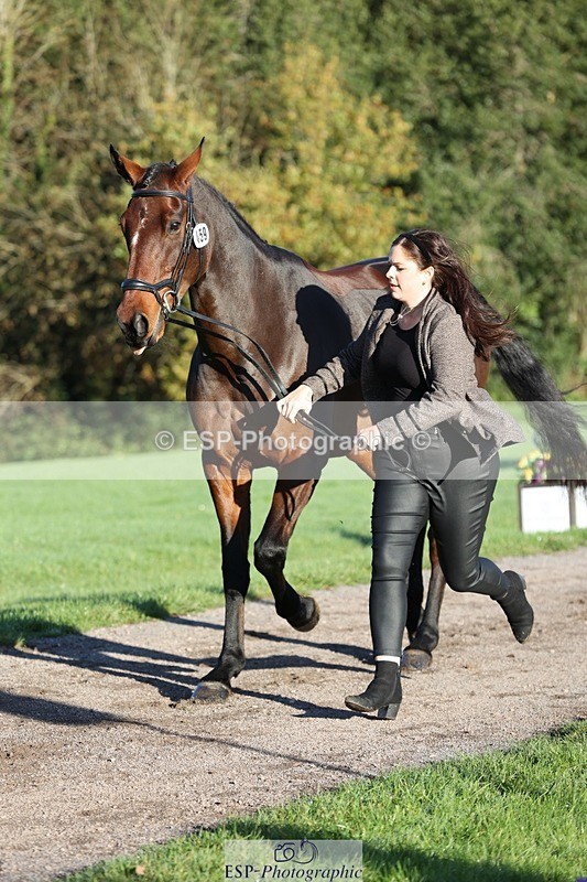 241027-085340-14876 - 459-Rachael.Hardman-I.M.ALL.YOU.WANT