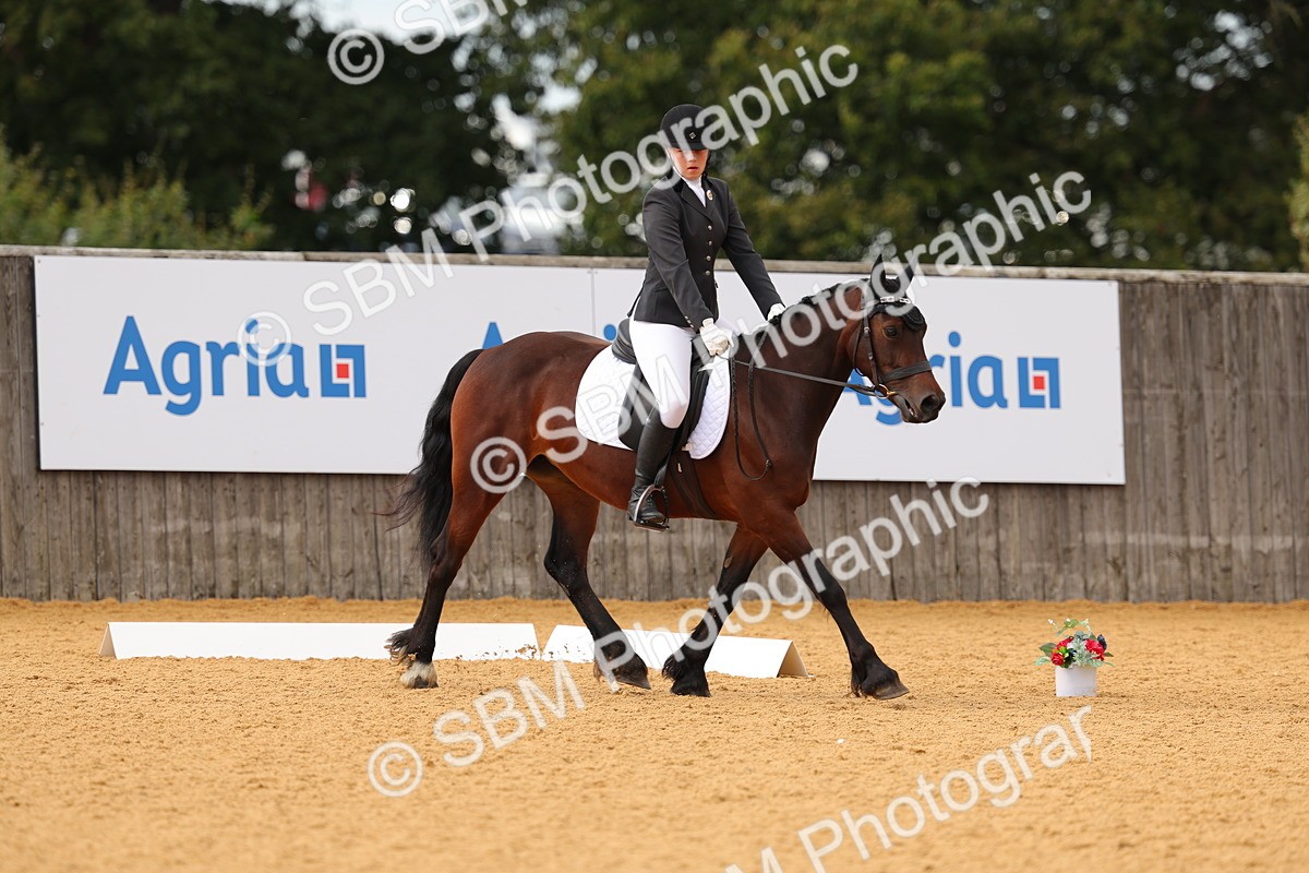 SBM_48247 - D22 - Junior Championship - Intro B
