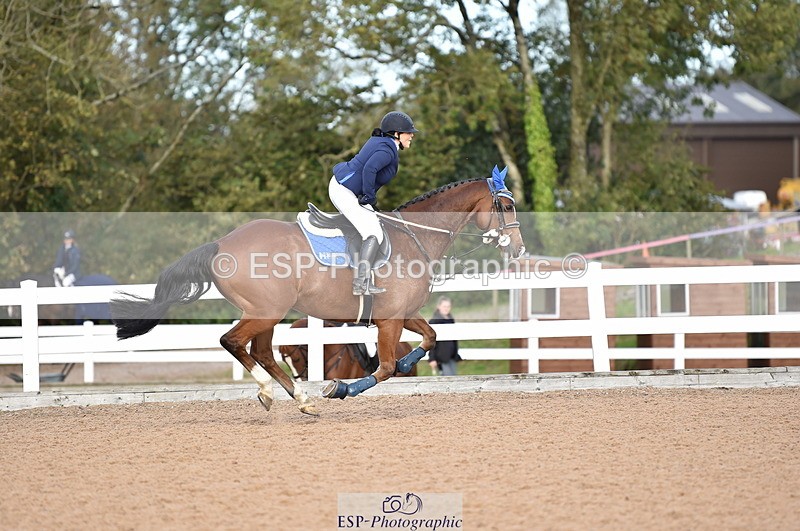 231015A-134128-08400 - Cls 25 95cm Amateur Q 2nd R