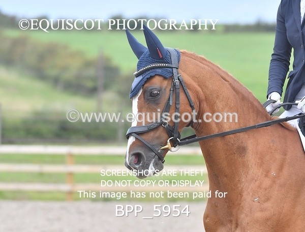 BPP_5954 - PRELIM TEST 5 LONG ARENA