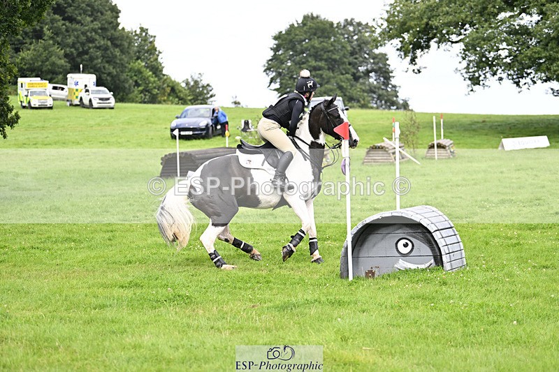 240804-163318-18000 - 671-Rosie_Ashforth-PABLO_PICASSO