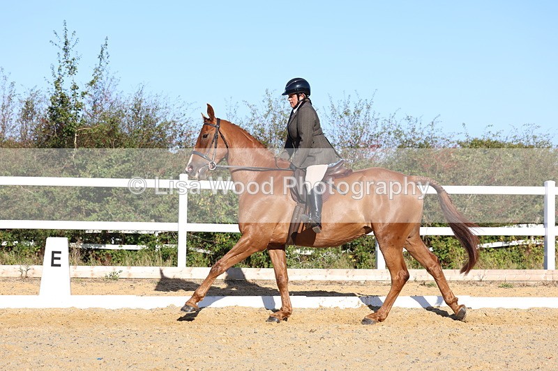 3E7A5204 - Class 7: Novice Ridden Hunter/Hack/RH/Cob