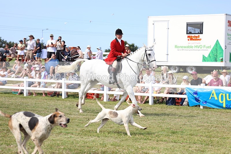 3E7A0177 - Parade of Hounds