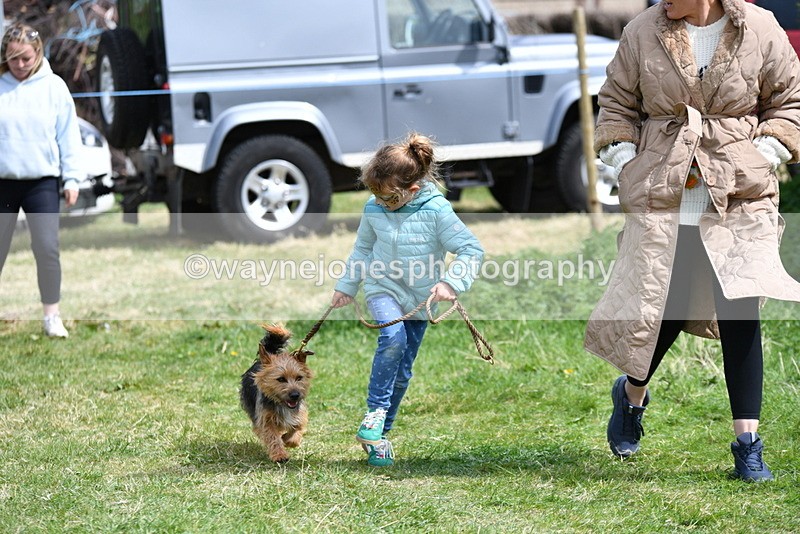 WJ5_0454 - Class 7 Best Terrier