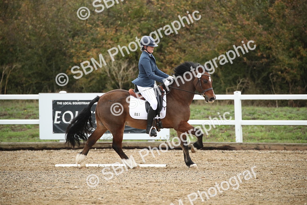 SBM_001702 - Prelim 2