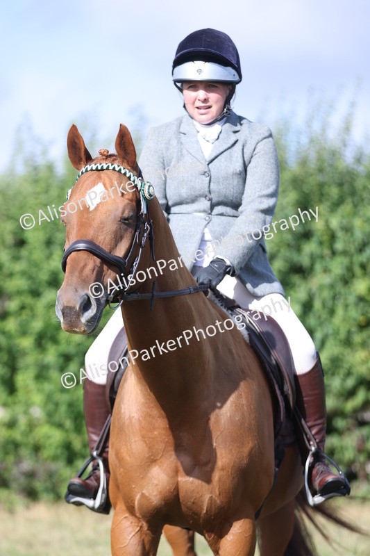 20250831-0860 - Class 14 - Ex Racehorse
