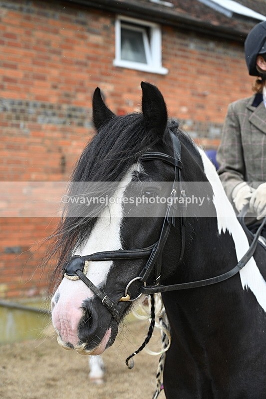 WJ7_6892 - Berks & Bucks at Blandy’s Farm 31-08-25