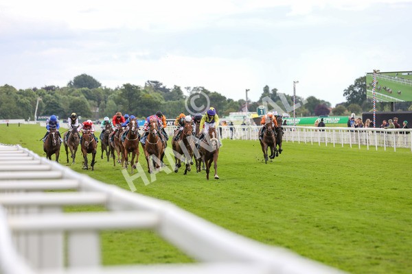 140624-Race 5-Ron O-5702 - Race 5 4.10pm Juddmonte EBF Fillies Restricted Novice Stakes