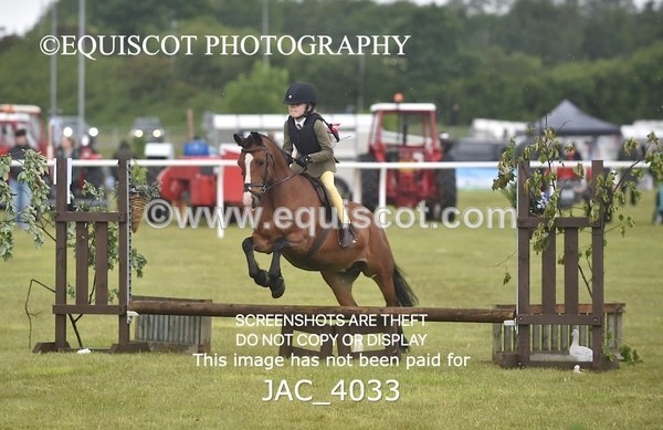 JAC_4033 - 40CM WORKING HUNTER