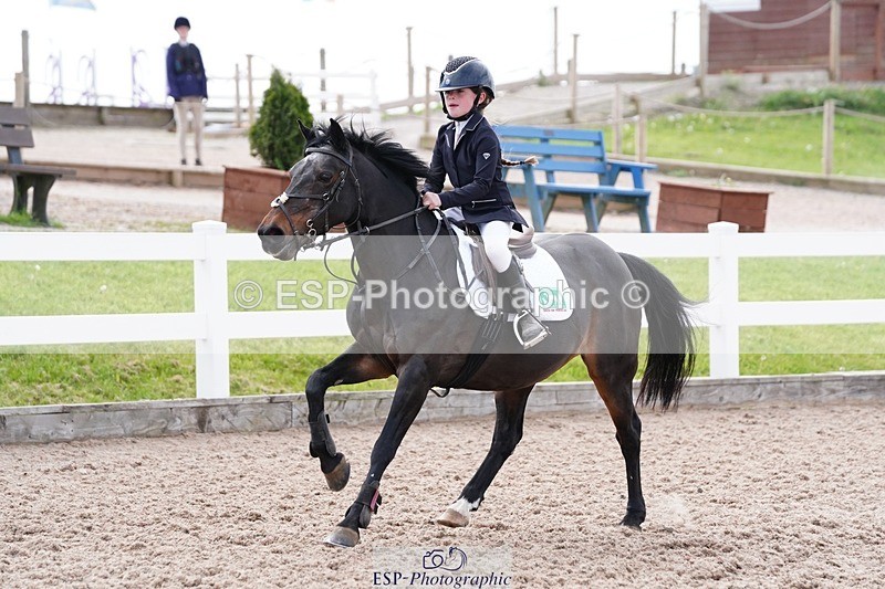 250505-093434-04112 - Cls 12 Stepping Stones