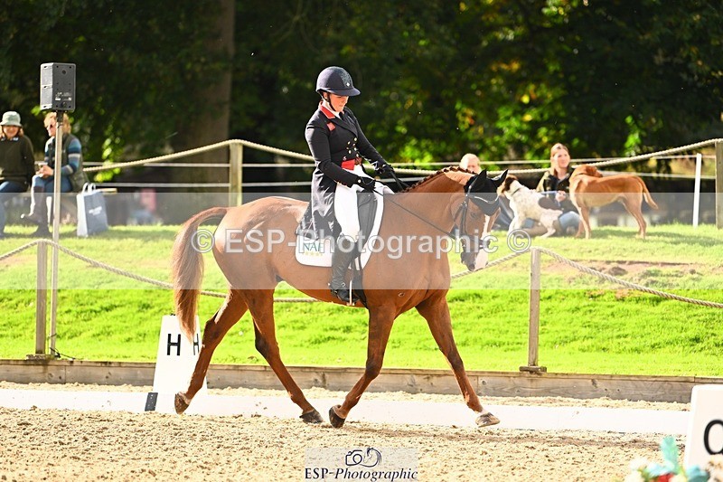 231020-140933-09851 - 305-CHILLI.KNIGHT-Gemma.Stevens-DR