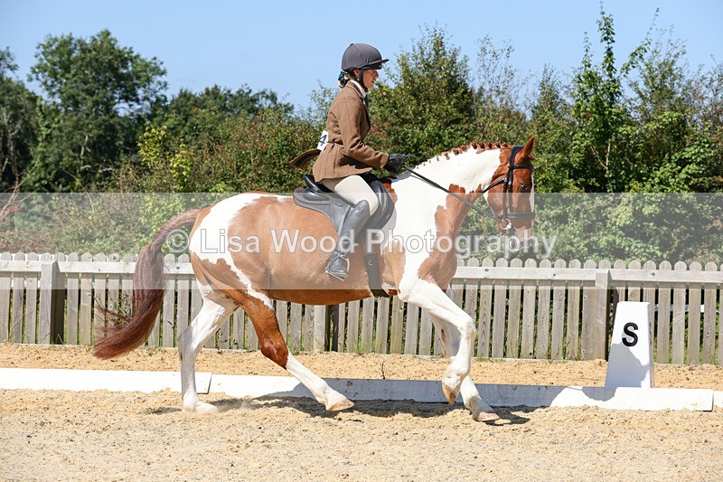 1X9A8149 - Class 12: Coloured Ridden