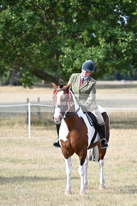 WJ7_7861 - Ridden Championship