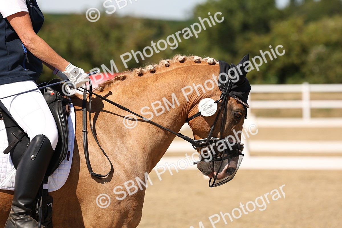 SBM_003667 - Elementary 4