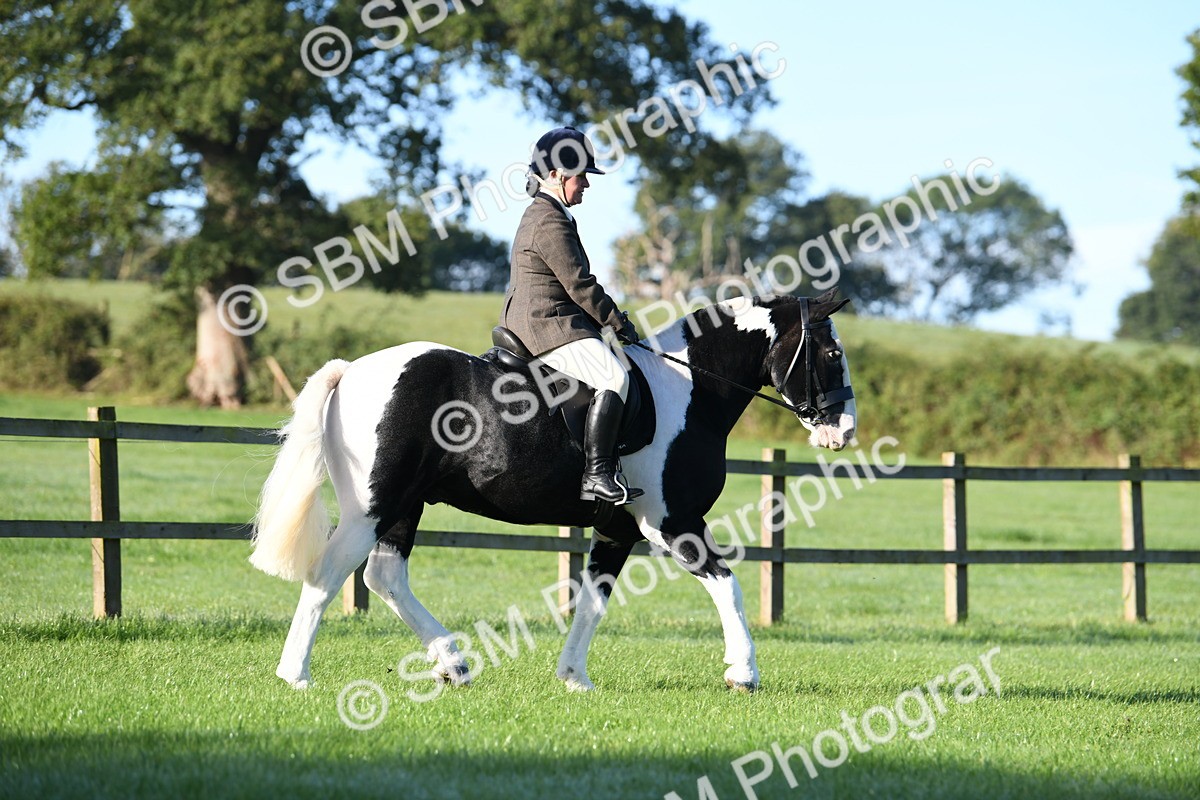 SBM_33969 - S16 - Condition & Turnout - Ridden