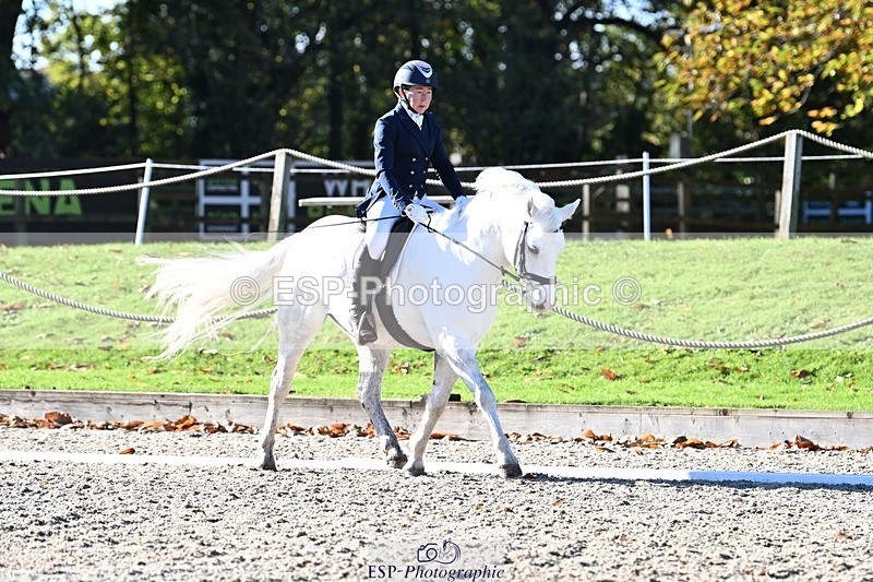 231110-113651-00468 - Cls 2 Prelim 17(a)Q