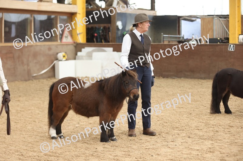 20251109-0329 - Class 13 - Mares 4 Years and Over