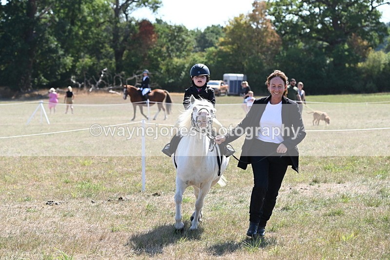 WJ6_7885 - Class 36 Lead Rein