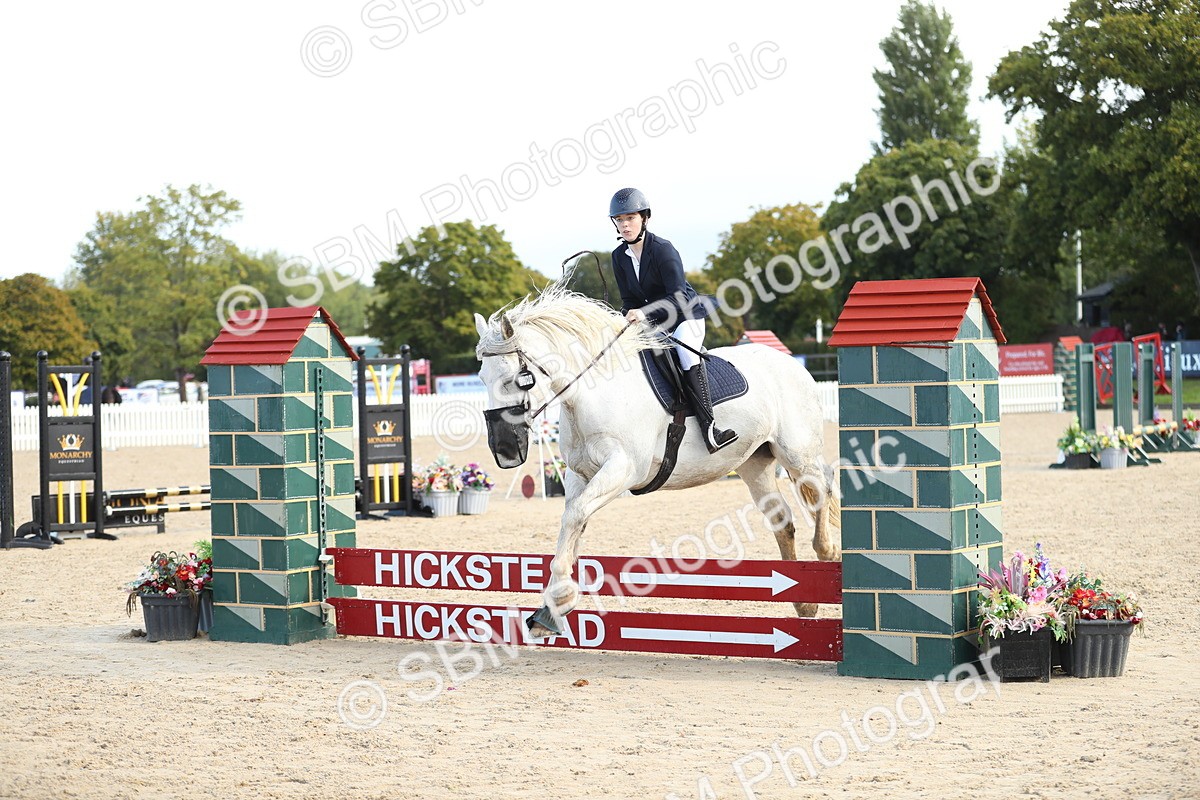 SBM_37298 - J20 - Junior Horse 50cm Championship