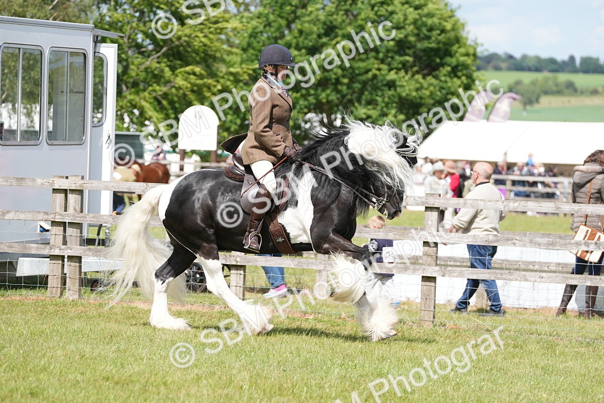 SBM_17119 - Class 107-108 - LIHS BSPS Performance Coloured Horse Pony