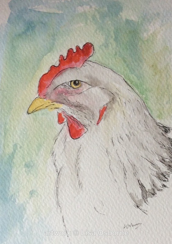 Chicken watercolour pen and ink