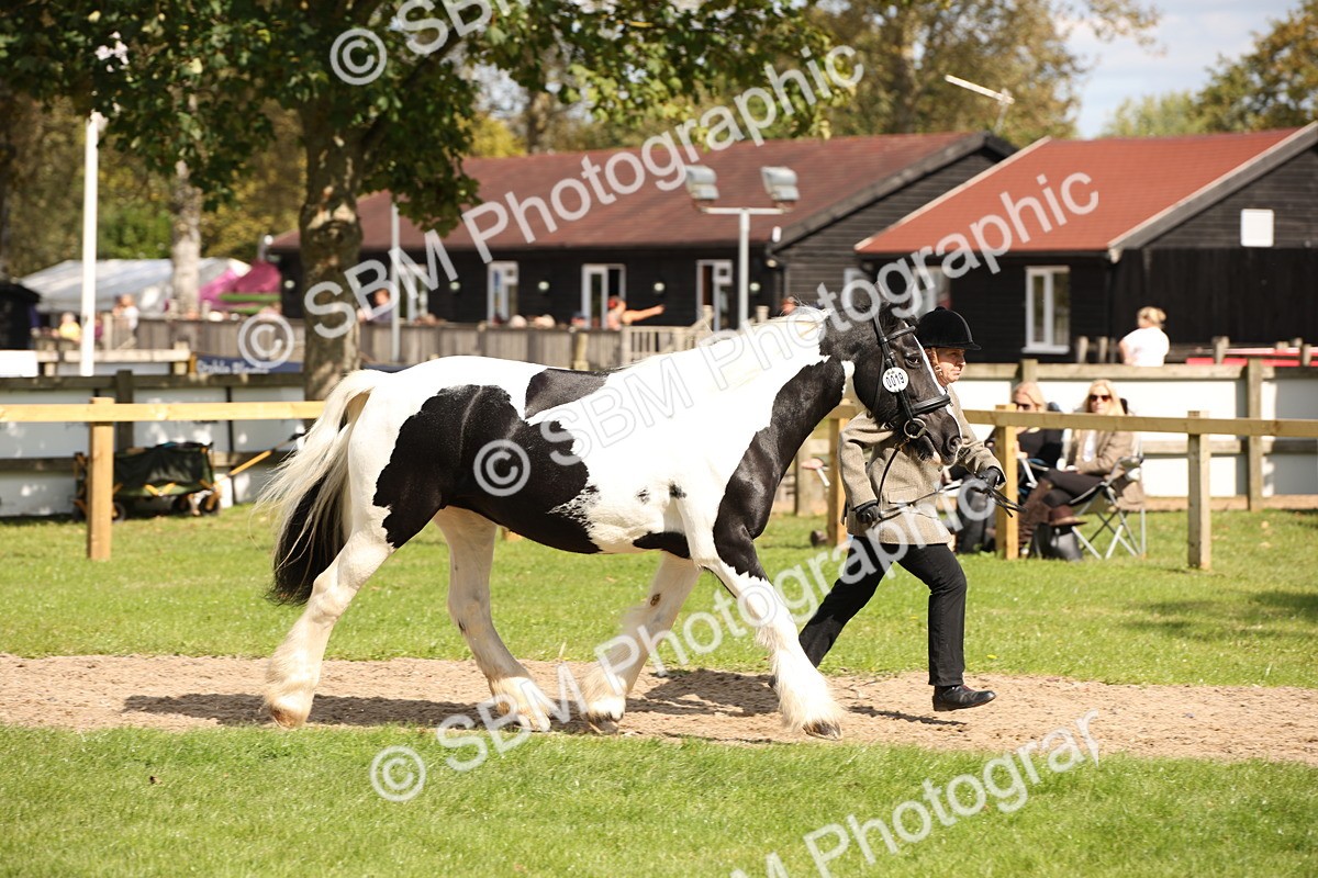 SBM_44410 - S24 - Young Veteran in hand