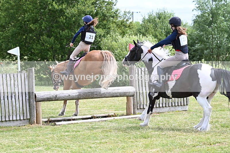 WJ7_5652 - 80cm XC Pairs