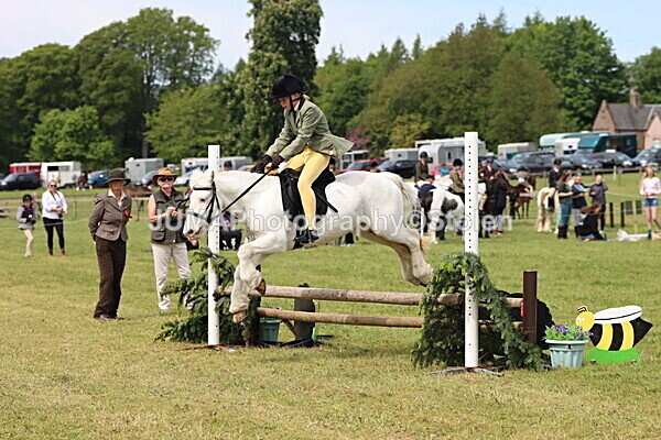 IMG_3025 - Working Hunter