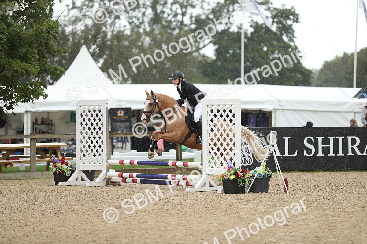 SBM_00973 - J27 - Senior Horse & Pony 50cm Championships