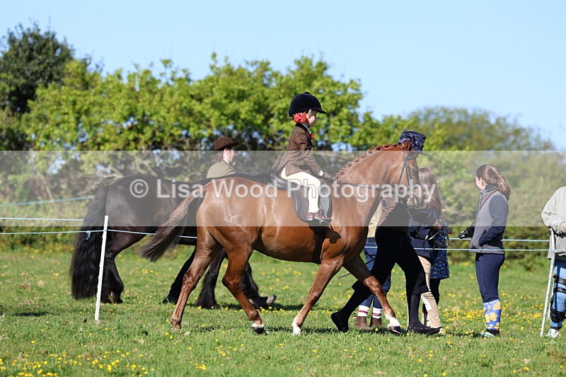 3E7A8801 - Class 2: Lead rein