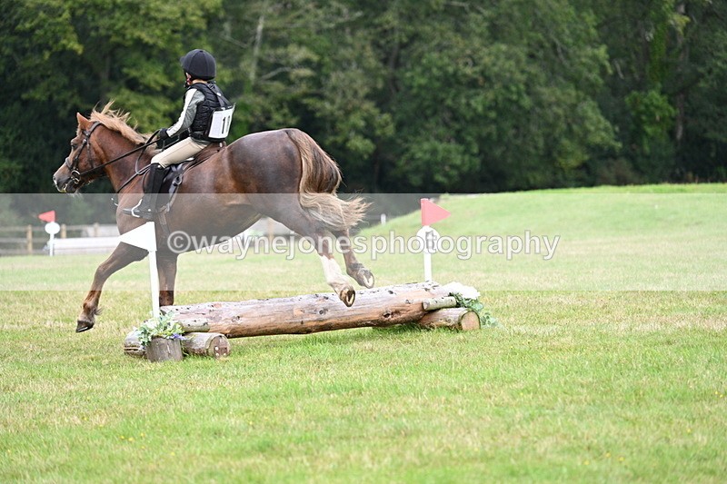 WJ7_7490 - 40cm Time 10:27 to 10:47