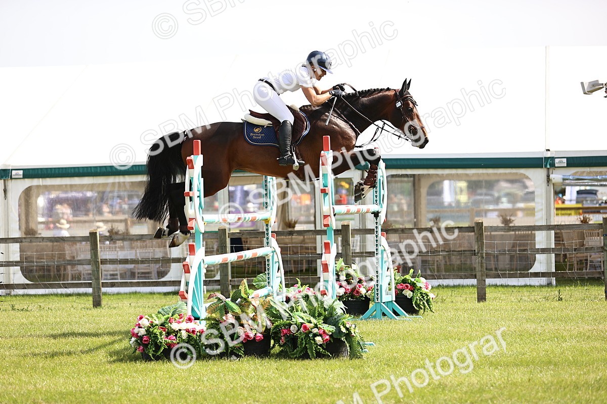 SBM_03032 - Class 201 - British Horse Feedds Speedi Beet HOYS Grade C