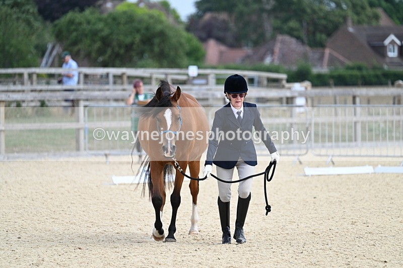 WJ7_1826 - In Hand