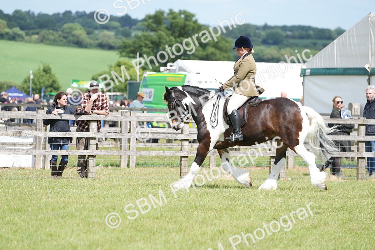SBM_17286 - Class 107-108 - LIHS BSPS Performance Coloured Horse Pony
