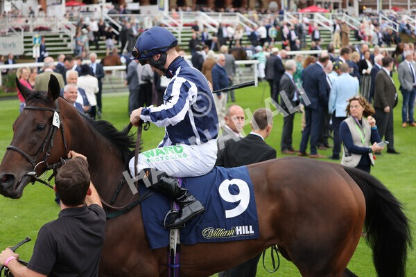 yr24092021r3-5 - Race 3 2.40pm WilliamHill.com Best Odds Guaranteed Stakes