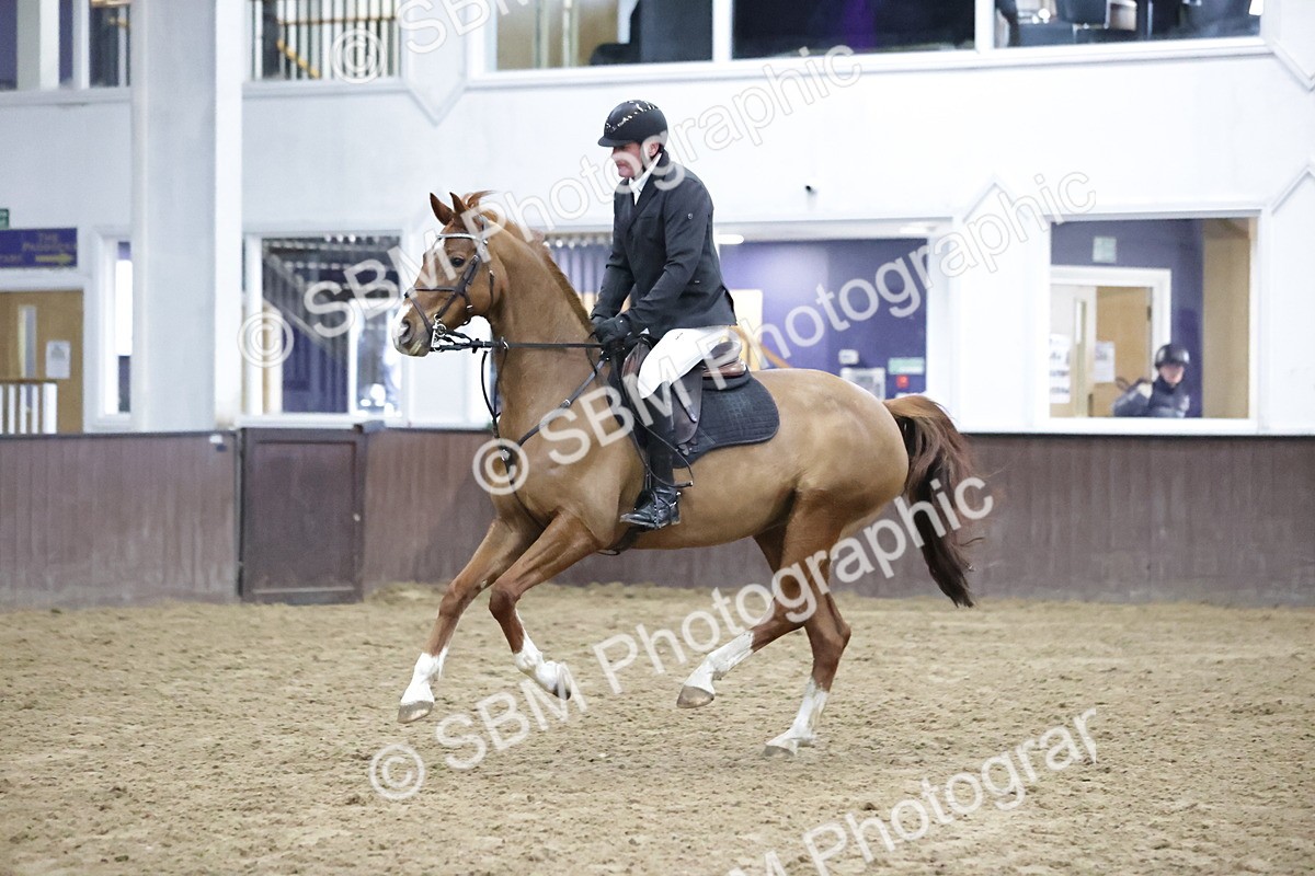 SBM_1753 - Class 7 - Equissage Pulse Senior BritiNovice/ 90cm Open