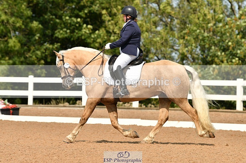 250817-112944-08602 - 216-Chloe.WaltonHaytors.Lord.of.the.Dance