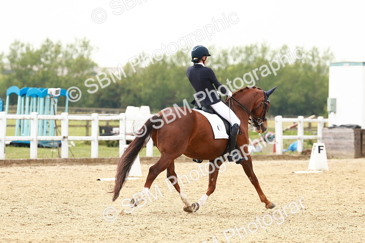 SBM_002746 - Class 12 - Medium 4