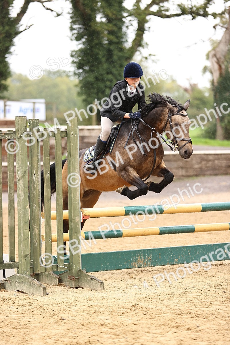 SBM_70012 - Supreme Championship 80cm 85cm
