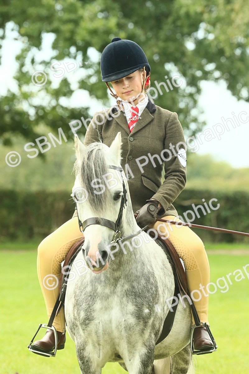 SBM_69992 - S59 - Mountain & Moorland Ridden Small Breeds