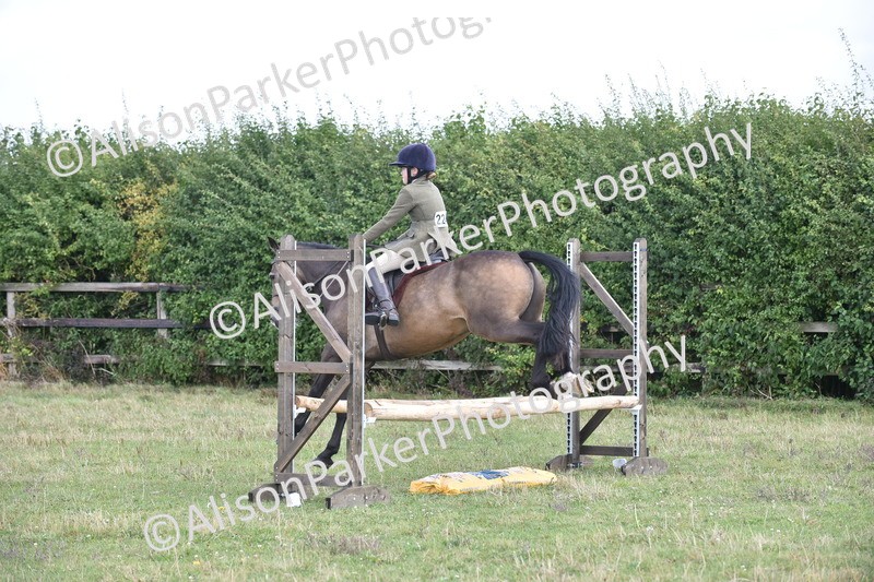 20250831-3966 - Class 12 - Working Hunter Pony 14.2hh and Under