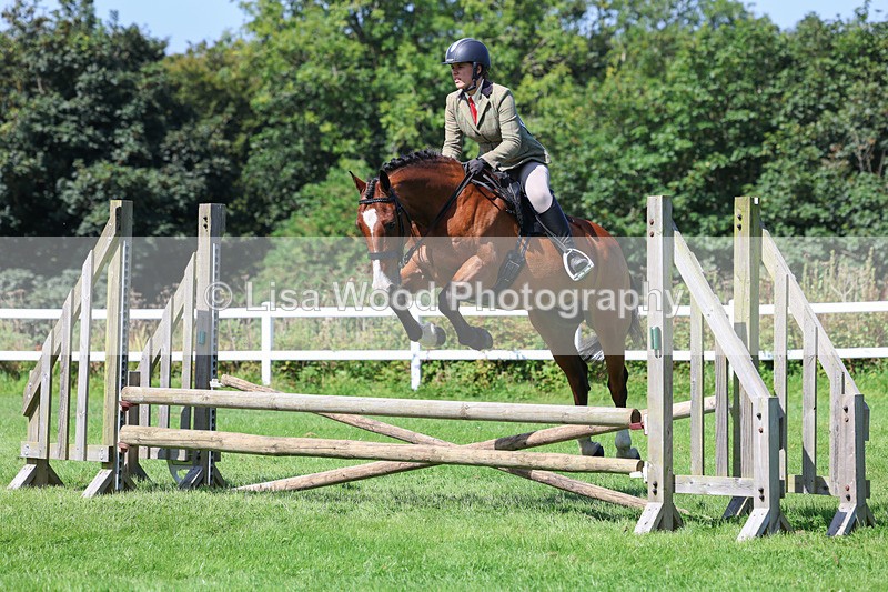 3E7A8544 - Class 5: Working Show Horse