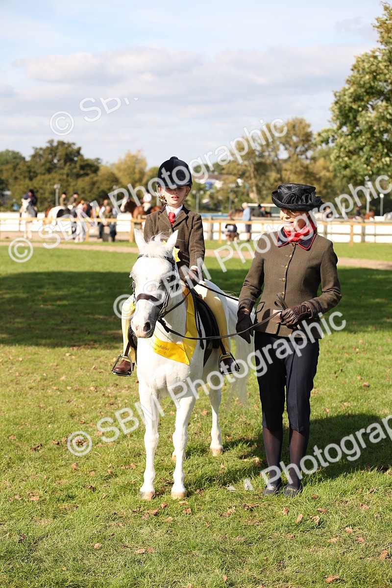 SBM_50099 - S26 - Young Veteran - Ridden